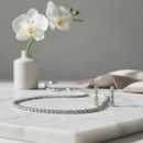 Conjunto Riviera